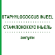 СТАФІЛОКОККУС ІНЬЄЛЬ (STAPHYLOCOCCUS INJEEL) ампули 100 шт - Гомеопатія BIOLOGISCHE HEILMITTEL HEEL