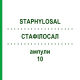СТАФІЛОСАЛ (STAPHYLOSAL) 10 ампули 10x2 мл - Активні речовини BIOKANOL PHARMA