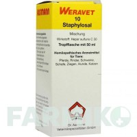СТАФІЛОСАЛ (STAPHYLOSAL) 10 краплі 50 мл - Активні речовини BIOKANOL PHARMA