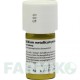 СТИБИУМ МЕТАЛЛИКУМ (STIBIUM METALLICUM) D 10 тритурация 20 г - Гомеопатия WELEDA