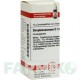СТРЕПТОКОКЦИНУМ (STREPTOCOCCINUM) D 12 глобули 10 г - Гомеопатия DHU