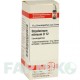 СТРИХНИНУМ НИТРИКУМ (STRYCHNINUM NITRICUM) D 12 глобули 10 г - Гомеопатия DHU