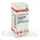 СИМФОРИКАРПУС (SYMPHORICARPUS) D 2 глобули 10 г - Гомеопатия DHU