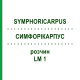 СИМФОРІКАРПУС (SYMPHORICARPUS) LM 1 розчин 10 мл - Гомеопатія ARCANA DR.SEWERIN