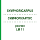 СИМФОРІКАРПУС (SYMPHORICARPUS) LM 11 розчин 10 мл - Гомеопатія ARCANA DR.SEWERIN