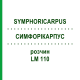 СИМФОРІКАРПУС (SYMPHORICARPUS) LM 110 розчин 10 мл - Гомеопатія ARCANA DR.SEWERIN