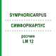 СИМФОРІКАРПУС (SYMPHORICARPUS) LM 12 розчин 10 мл - Гомеопатія ARCANA DR.SEWERIN