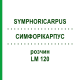 СИМФОРІКАРПУС (SYMPHORICARPUS) LM 120 розчин 10 мл - Гомеопатія ARCANA DR.SEWERIN