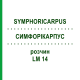 СИМФОРІКАРПУС (SYMPHORICARPUS) LM 14 розчин 10 мл - Гомеопатія ARCANA DR.SEWERIN