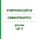 СИМФОРІКАРПУС (SYMPHORICARPUS) LM 17 розчин 10 мл - Гомеопатія ARCANA DR.SEWERIN