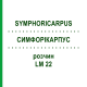 СИМФОРІКАРПУС (SYMPHORICARPUS) LM 22 розчин 10 мл - Гомеопатія ARCANA DR.SEWERIN