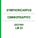 СИМФОРІКАРПУС (SYMPHORICARPUS) LM 23 розчин 10 мл - Гомеопатія ARCANA DR.SEWERIN