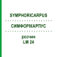 СИМФОРІКАРПУС (SYMPHORICARPUS) LM 24 розчин 10 мл - Гомеопатія ARCANA DR.SEWERIN