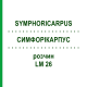 СИМФОРІКАРПУС (SYMPHORICARPUS) LM 26 розчин 10 мл - Гомеопатія ARCANA DR.SEWERIN