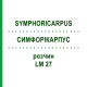СИМФОРІКАРПУС (SYMPHORICARPUS) LM 27 розчин 10 мл - Гомеопатія ARCANA DR.SEWERIN