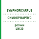СИМФОРІКАРПУС (SYMPHORICARPUS) LM 30 розчин 10 мл - Гомеопатія ARCANA DR.SEWERIN