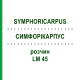СИМФОРІКАРПУС (SYMPHORICARPUS) LM 45 розчин 10 мл - Гомеопатія ARCANA DR.SEWERIN