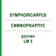 СИМФОРІКАРПУС (SYMPHORICARPUS) LM 5 розчин 10 мл - Гомеопатія ARCANA DR.SEWERIN
