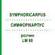 СИМФОРІКАРПУС (SYMPHORICARPUS) LM 60 розчин 10 мл - Гомеопатія ARCANA DR.SEWERIN