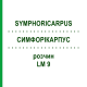 СИМФОРІКАРПУС (SYMPHORICARPUS) LM 9 розчин 10 мл - Гомеопатія ARCANA DR.SEWERIN