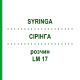 СІРІНГА (SYRINGA) LM 17 розчин 10 мл - Гомеопатія ARCANA DR.SEWERIN