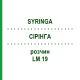 СІРІНГА (SYRINGA) LM 19 розчин 10 мл - Гомеопатія ARCANA DR.SEWERIN