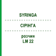 СІРІНГА (SYRINGA) LM 22 розчин 10 мл - Гомеопатія ARCANA DR.SEWERIN
