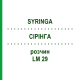 СІРІНГА (SYRINGA) LM 29 розчин 10 мл - Гомеопатія ARCANA DR.SEWERIN