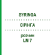 СІРІНГА (SYRINGA) LM 7 розчин 10 мл - Гомеопатія ARCANA DR.SEWERIN