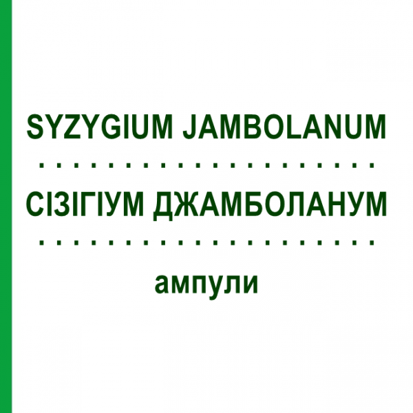 СИЗИГИУМ ДЖАМБОЛАНУМ (SYZYGIUM JAMBOLANUM) ампулы 100 шт - Гомеопатия BIOLOGISCHE HEILMITTEL HEEL