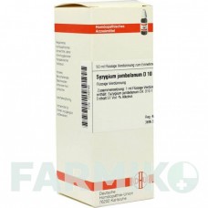 СИЗИГИУМ ДЖАМБОЛАНУМ (SYZYGIUM JAMBOLANUM) D 10 раствор 50 мл - Гомеопатия DHU