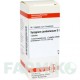 СИЗИГИУМ ДЖАМБОЛАНУМ (SYZYGIUM JAMBOLANUM) D 2 таблетки 80 шт - Гомеопатия DHU