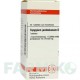 СИЗИГИУМ ДЖАМБОЛАНУМ (SYZYGIUM JAMBOLANUM) D 4 таблетки 80 шт - Гомеопатия DHU