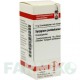 СИЗИГИУМ ДЖАМБОЛАНУМ (SYZYGIUM JAMBOLANUM) D 6 глобули 10 г - Гомеопатия DHU