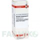 СИЗИГИУМ ДЖАМБОЛАНУМ (SYZYGIUM JAMBOLANUM) D 6 раствор 20 мл - Гомеопатия DHU
