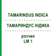 ТАМАРИНДУС ІНДИКА (TAMARINDUS INDICA) LM 1 розчин 10 мл - Гомеопатія ARCANA DR.SEWERIN