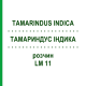 ТАМАРИНДУС ІНДИКА (TAMARINDUS INDICA) LM 11 розчин 10 мл - Гомеопатія ARCANA DR.SEWERIN