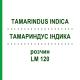 ТАМАРИНДУС ІНДИКА (TAMARINDUS INDICA) LM 120 розчин 10 мл - Гомеопатія ARCANA DR.SEWERIN