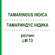 ТАМАРИНДУС ІНДИКА (TAMARINDUS INDICA) LM 13 розчин 10 мл - Гомеопатія ARCANA DR.SEWERIN