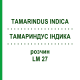 ТАМАРИНДУС ІНДИКА (TAMARINDUS INDICA) LM 27 розчин 10 мл - Гомеопатія ARCANA DR.SEWERIN