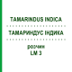 ТАМАРИНДУС ІНДИКА (TAMARINDUS INDICA) LM 3 розчин 10 мл - Гомеопатія ARCANA DR.SEWERIN