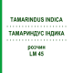 ТАМАРИНДУС ІНДИКА (TAMARINDUS INDICA) LM 45 розчин 10 мл - Гомеопатія ARCANA DR.SEWERIN