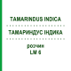 ТАМАРИНДУС ІНДИКА (TAMARINDUS INDICA) LM 6 розчин 10 мл - Гомеопатія ARCANA DR.SEWERIN