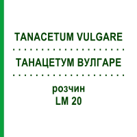 ТАНАЦЕТУМ ВУЛГАРЕ (TANACETUM VULGARE) LM 20 раствор 10 мл - Гомеопатия ARCANA DR.SEWERIN