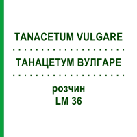 ТАНАЦЕТУМ ВУЛГАРЕ (TANACETUM VULGARE) LM 36 раствор 10 мл - Гомеопатия ARCANA DR.SEWERIN
