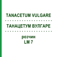 ТАНАЦЕТУМ ВУЛГАРЕ (TANACETUM VULGARE) LM 7 раствор 10 мл - Гомеопатия ARCANA DR.SEWERIN