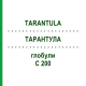 ТАРАНТУЛА (TARANTULA) C 200 глобули 0,5 г - Гомеопатия GUDJONS