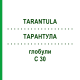 ТАРАНТУЛА (TARANTULA) C 30 глобули 0,5 г - Гомеопатия GUDJONS