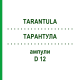 ТАРАНТУЛА (TARANTULA) D 12 ампулы 8x1 мл - Гомеопатия DHU