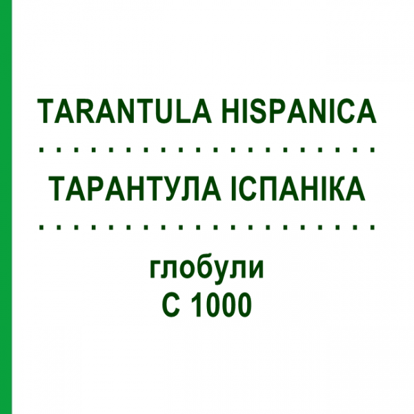 ТАРАНТУЛА ІСПАНІКА (TARANTULA HISPANICA) C 1000 глобули 1,5 г - Гомеопатія GUDJONS